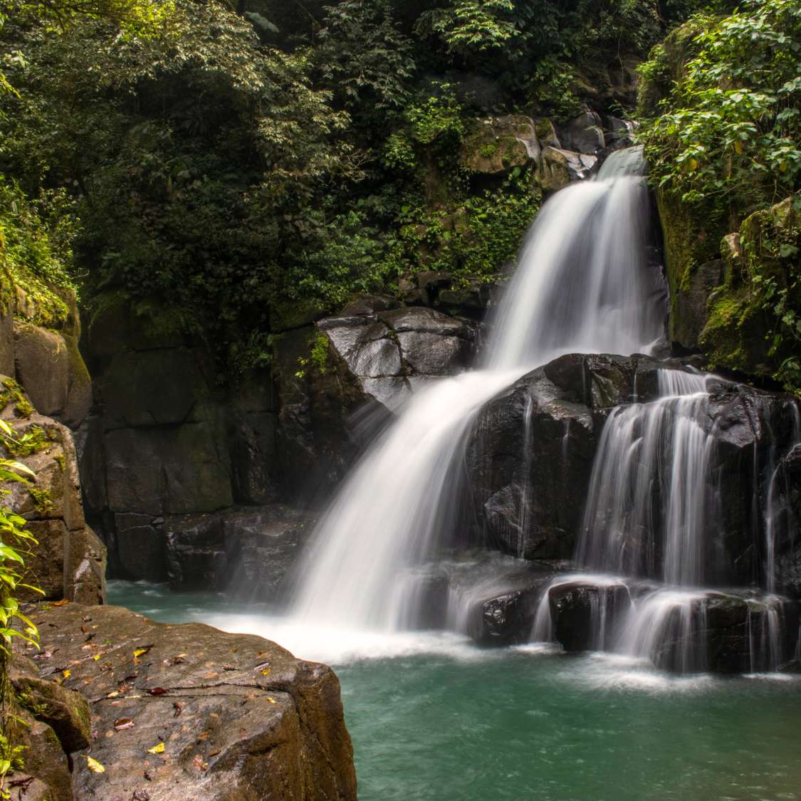 Gerenciamento Ambiental e Licenciamentos em Cachoeiras do Macacu