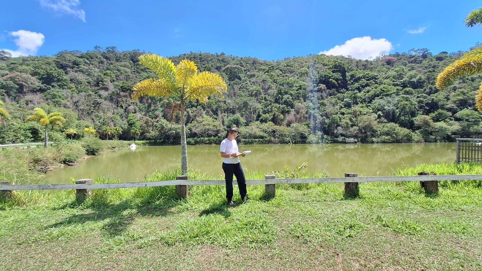 LTL LICENCIAMENTO AMBIENTAL (3)